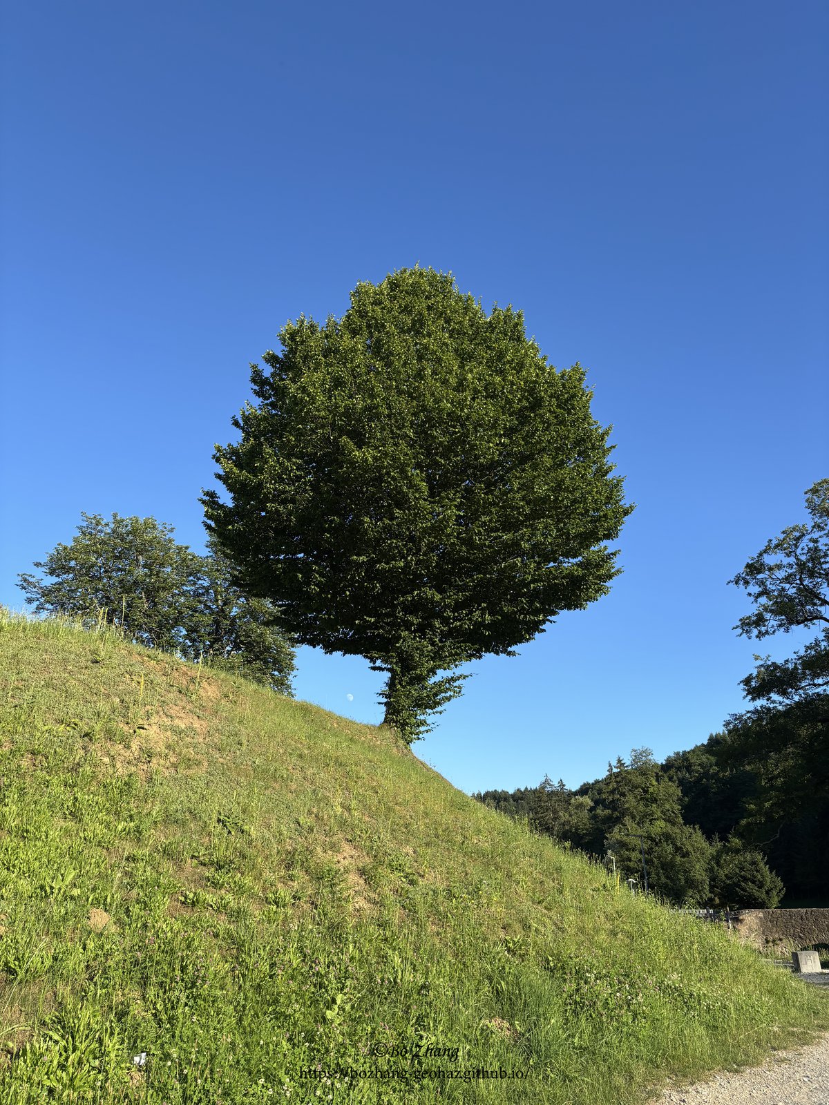Field site landscape in Croatia
